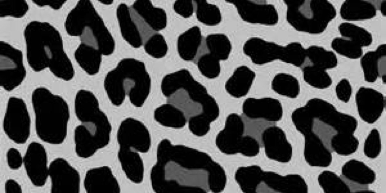 MollyAlirez's profile banner image