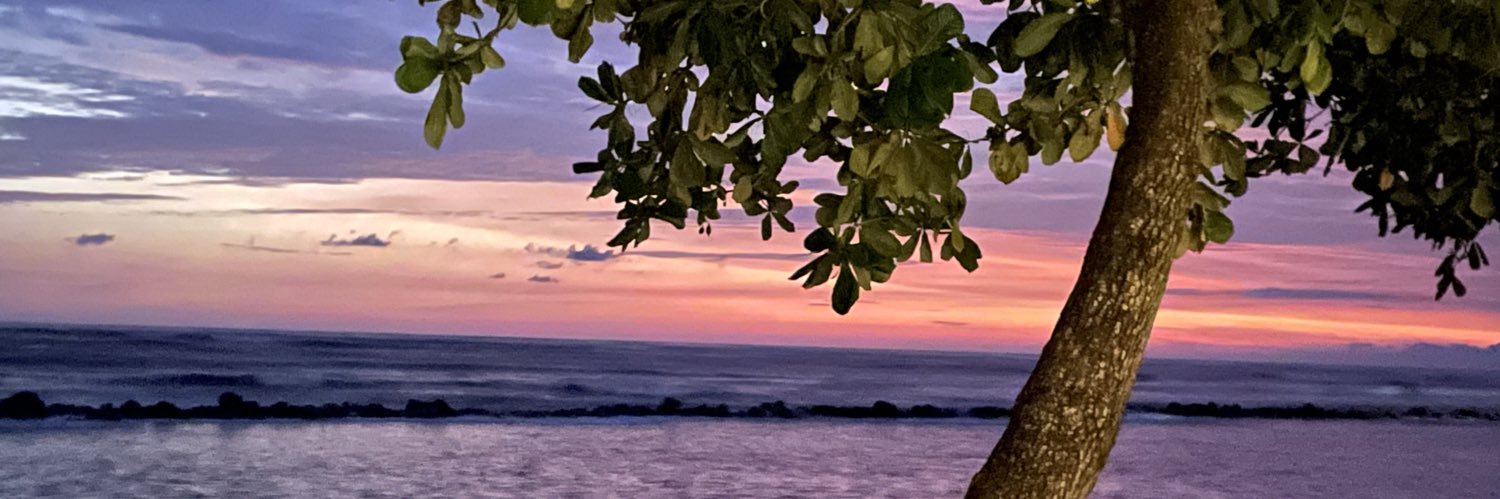 rmargaritaruiz's profile banner image