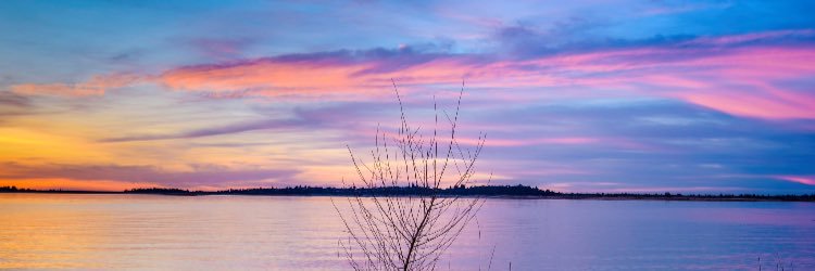 shain matthews banner