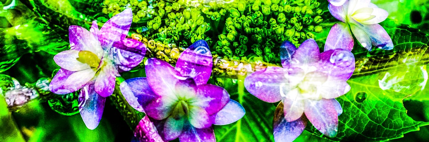 1234_opato's profile banner image