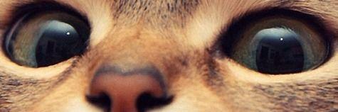 kingyunta's profile banner image