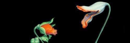 ppriveravega's profile banner image