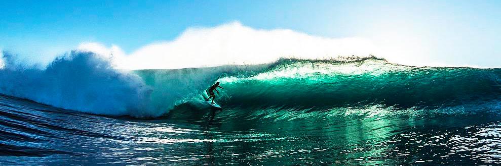 Guido Ricciuti banner