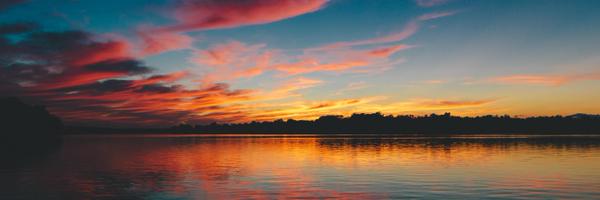 Madeline_Shea Profile Banner