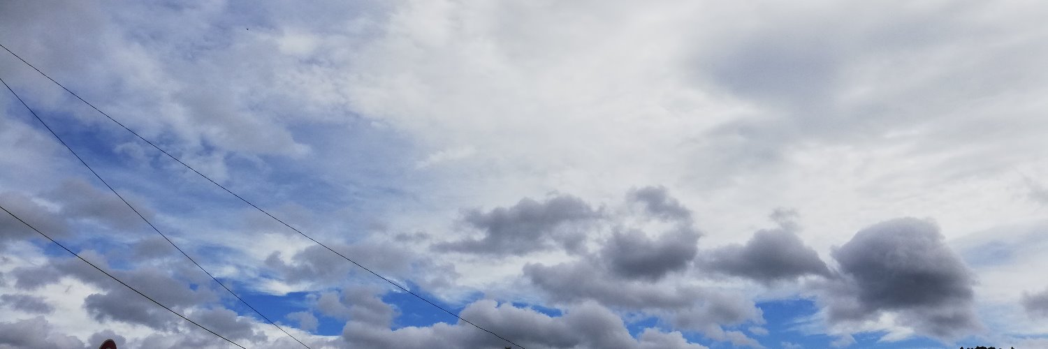 ttao08's profile banner image
