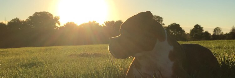 xtineb15's profile banner image