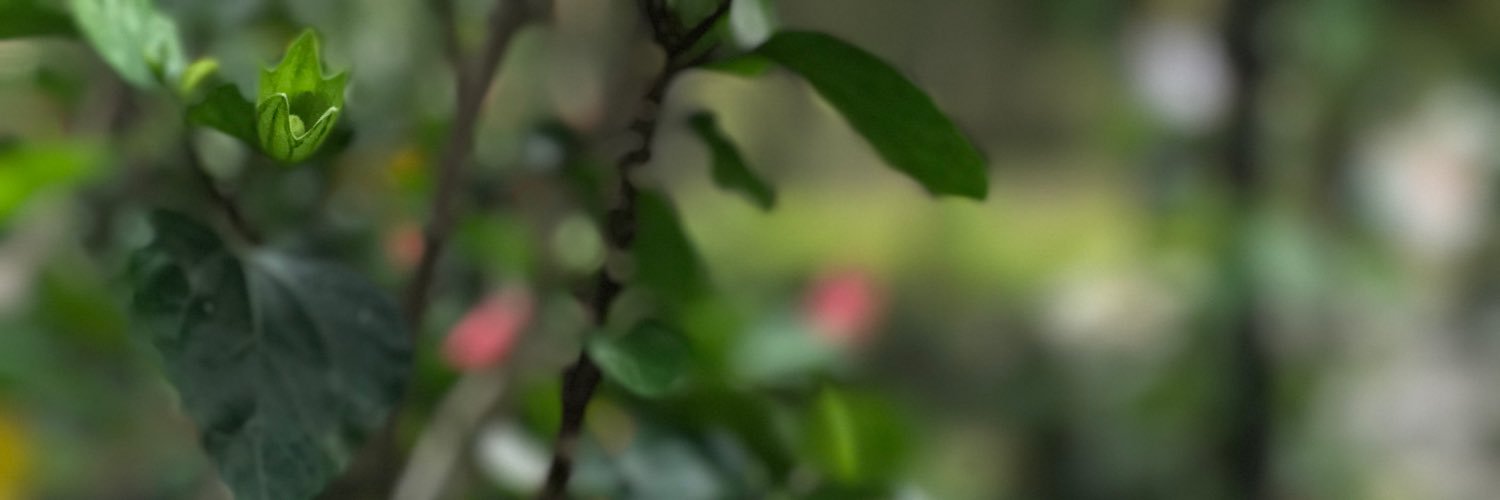 cVenusxx's profile banner image