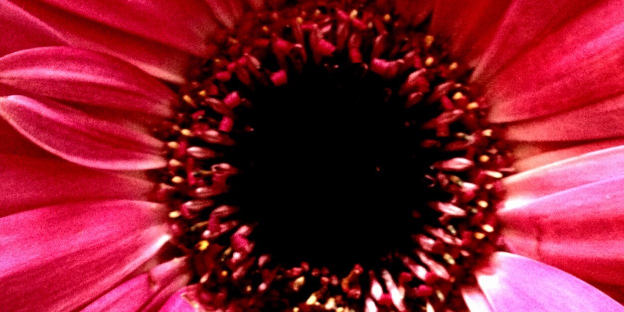 Matthew Nightingale banner