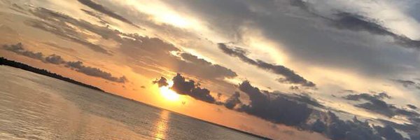 cutyeking Profile Banner