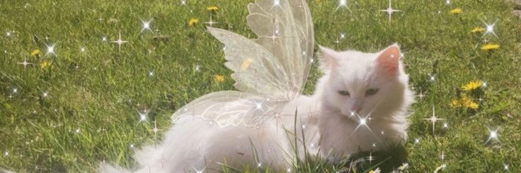 maycha_1's profile banner image