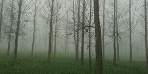 pratapmehra1's profile banner image