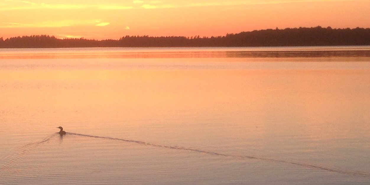 HannesJonsson's profile banner image
