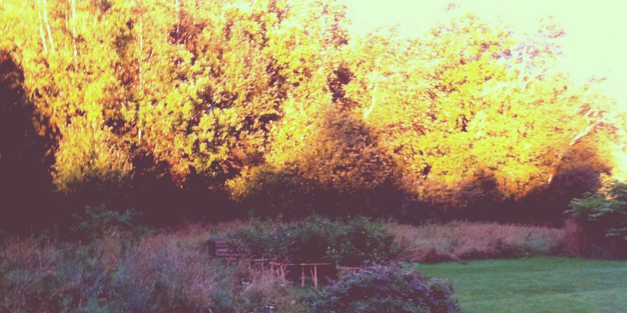 LundbergLeo's profile banner image