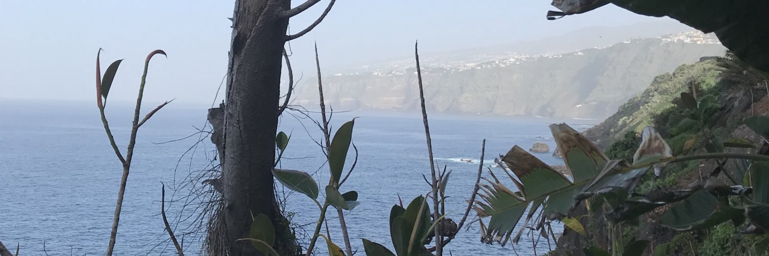 Ashnosh's profile banner image