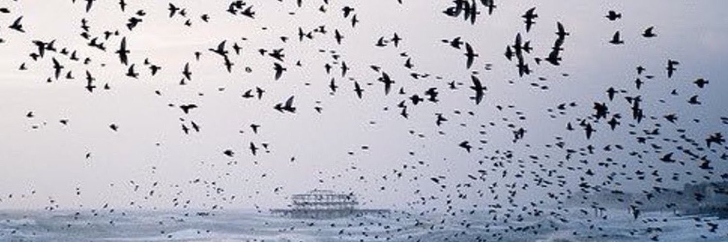 fo_zm88's profile banner image