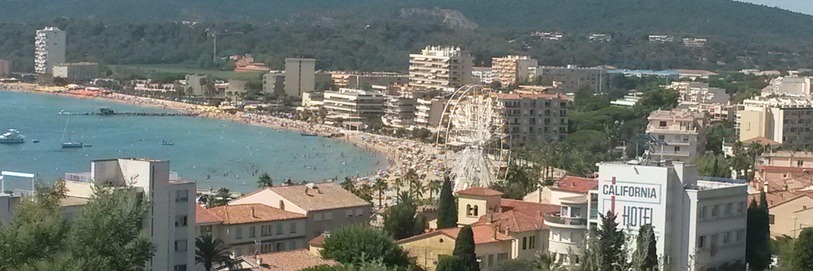 Valérie Aubert 🇨🇵 🇺🇦 🏳️‍🌈 🕊 banner