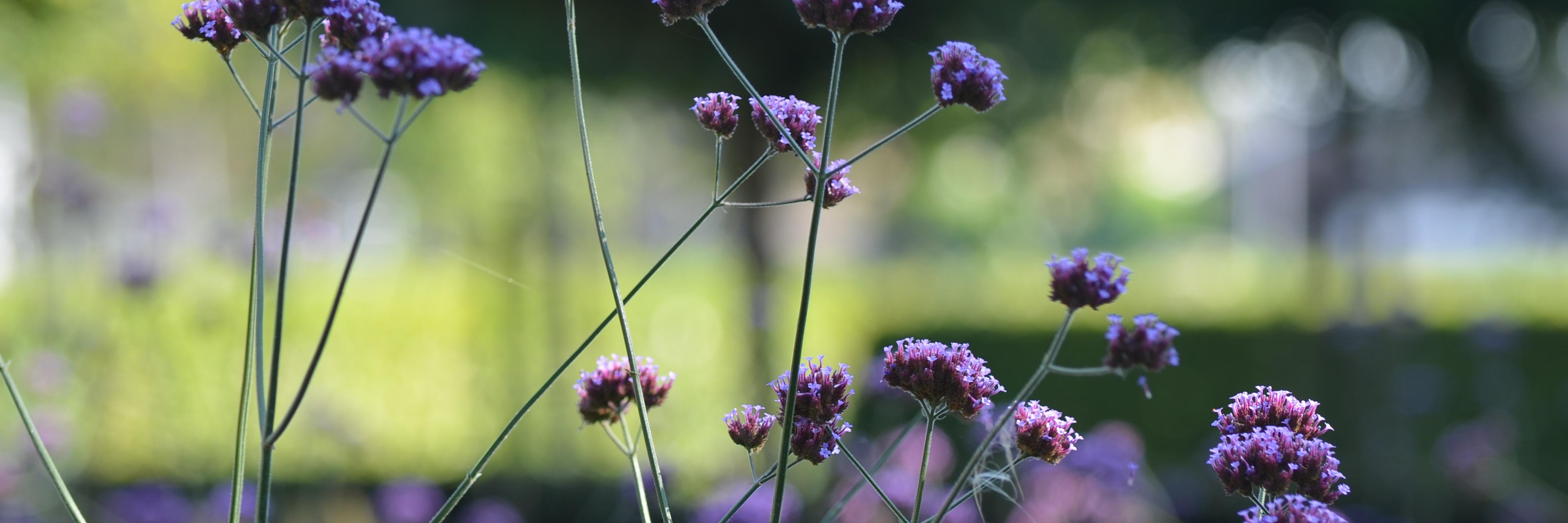 OutlookGroen's profile banner image