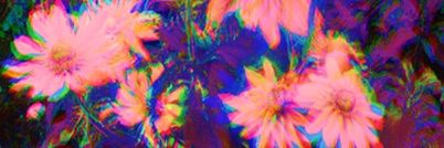 _kenzie1's profile banner image