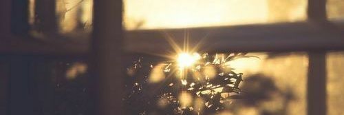 ظلال الياسمين's banner