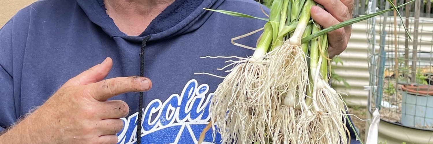 Peter Strong AM banner