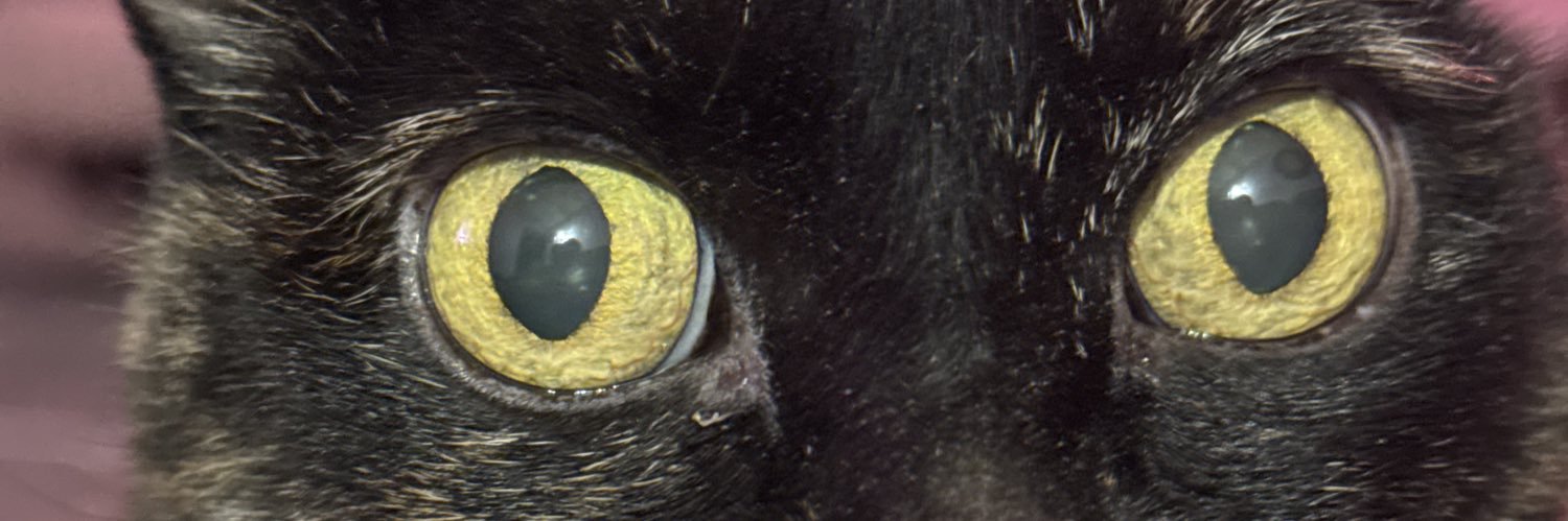yodiddwa's profile banner image