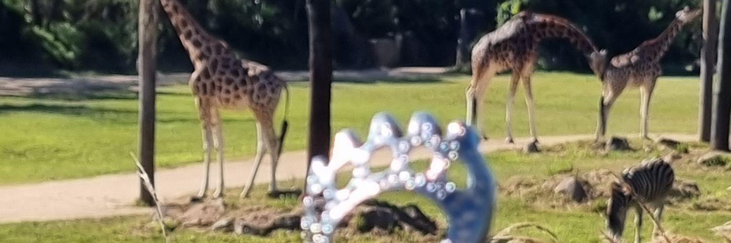 ChuckyLedgend's profile banner image