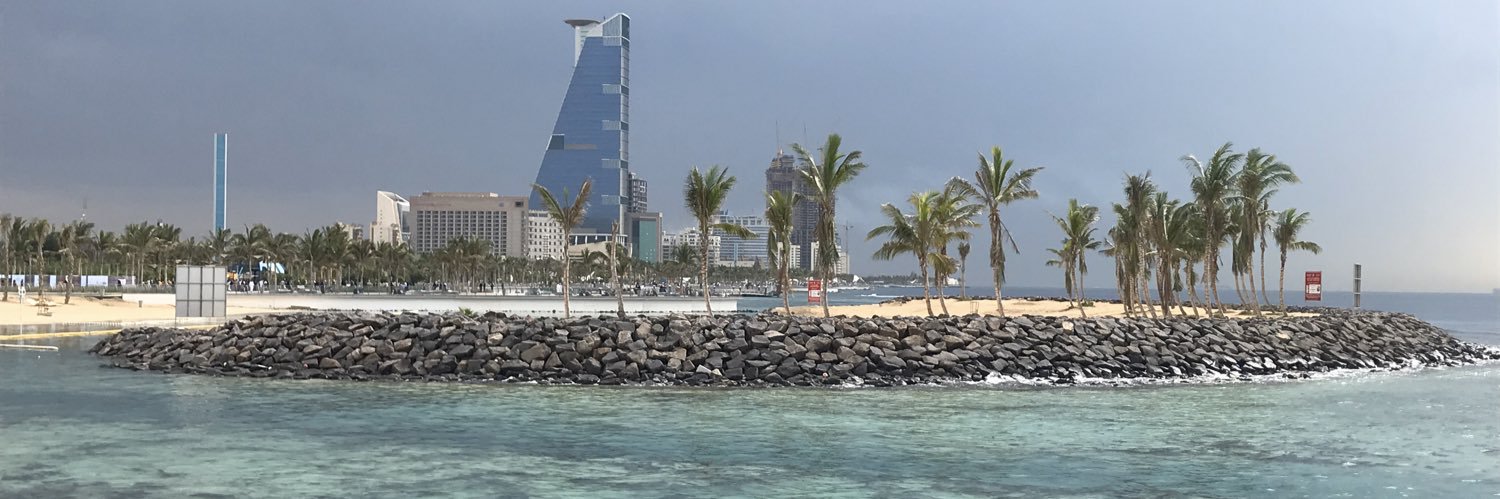 HASSAN ALMARZOUKI banner