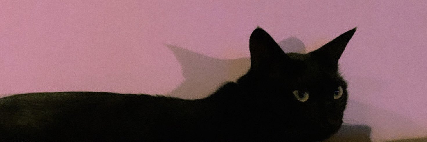 Maryeatsbrains's profile banner image