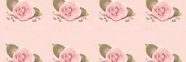 hasna_amelia's profile banner image