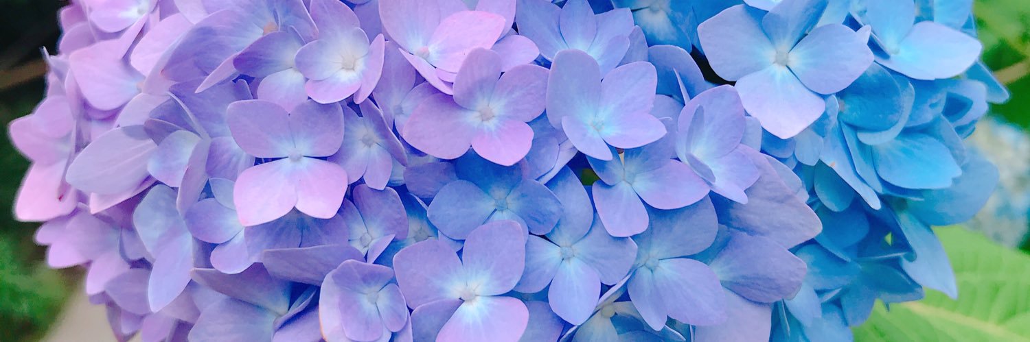 山中沙織 banner