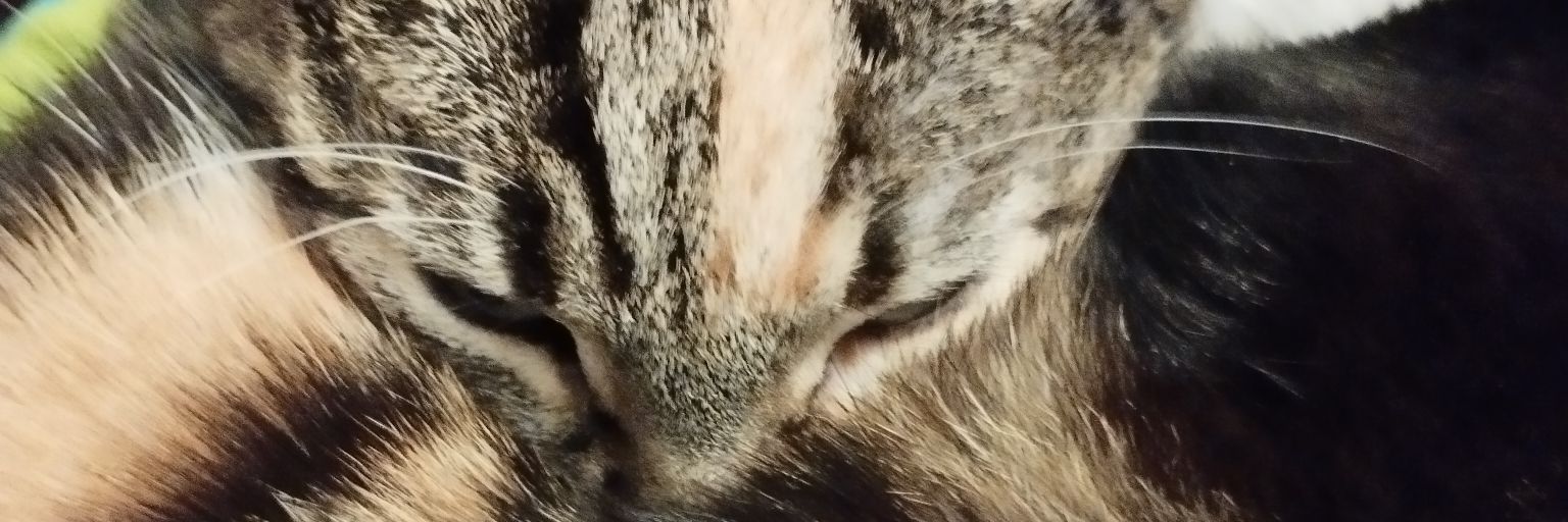 TheoDigger's profile banner image