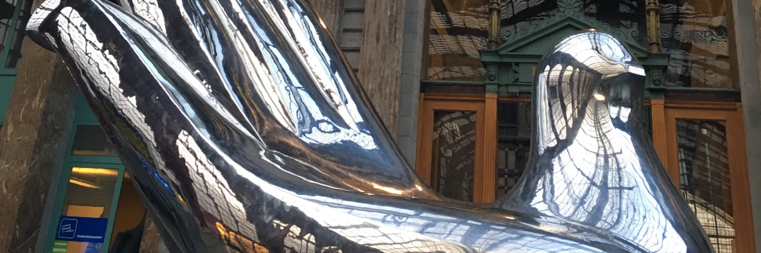 docmathoc's profile banner image