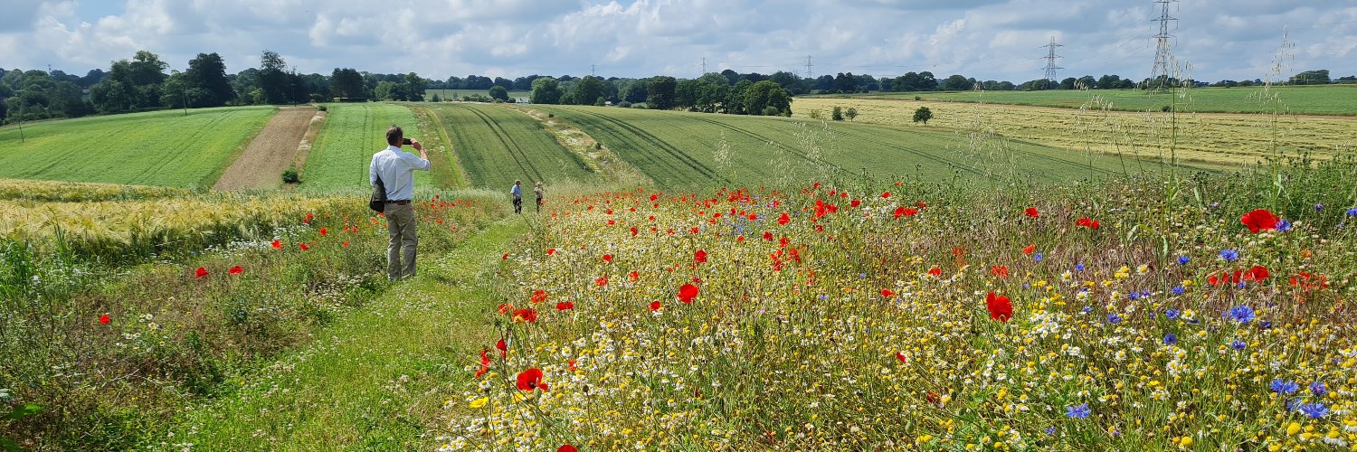 Francis Buner banner