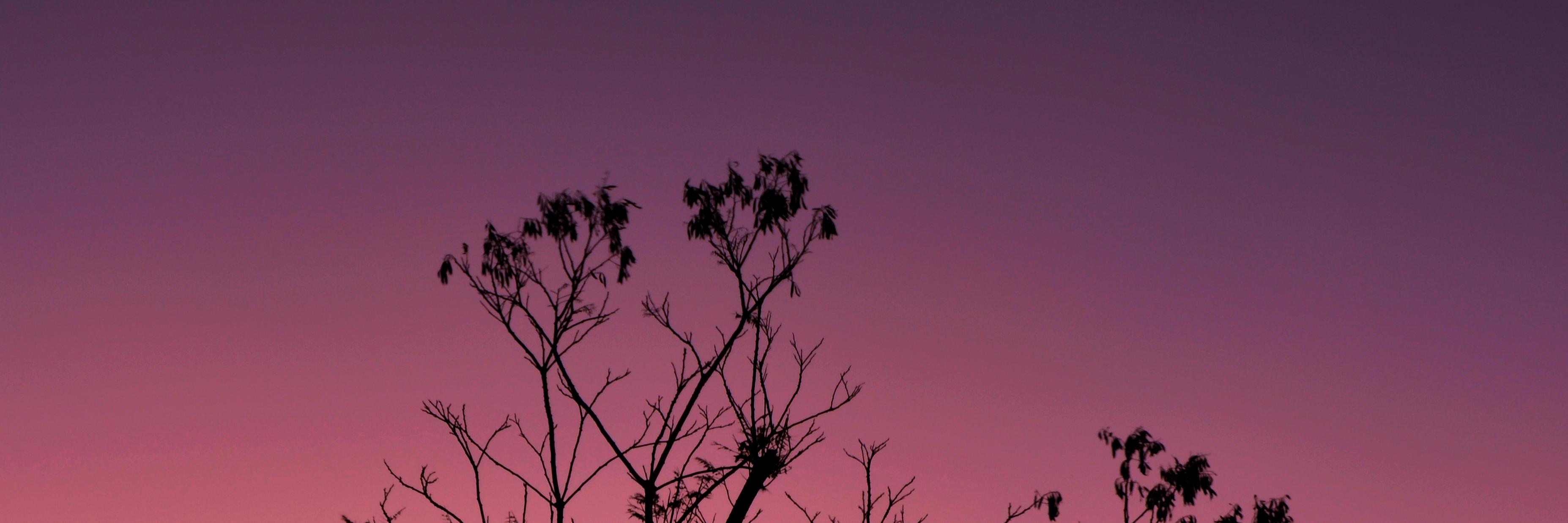 violetisima's profile banner image