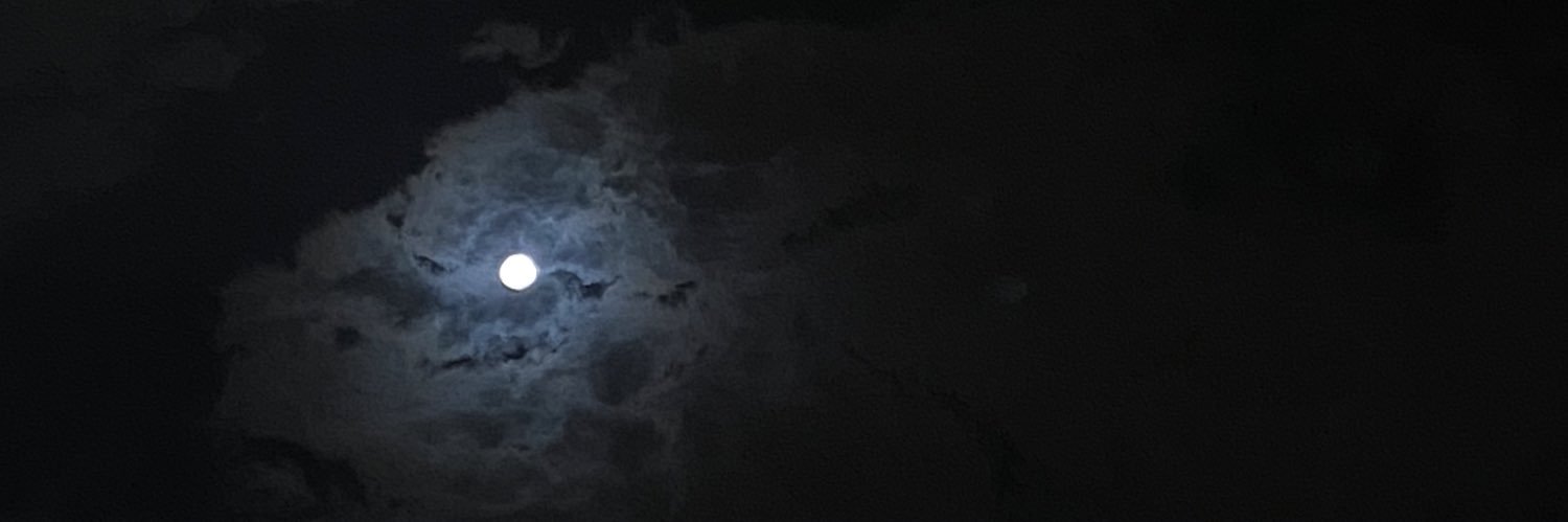 Alf_lam_a's profile banner image