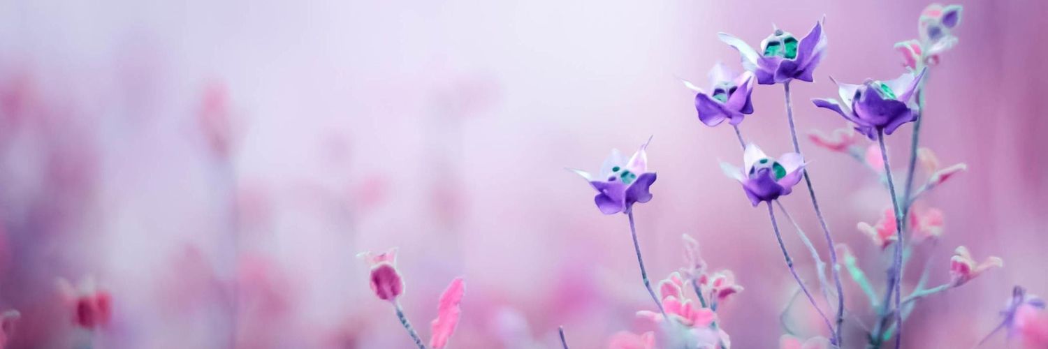 tugbaptn's profile banner image