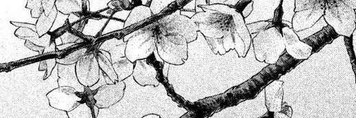 g.a banner