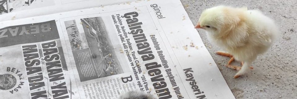 yapma büşra banner