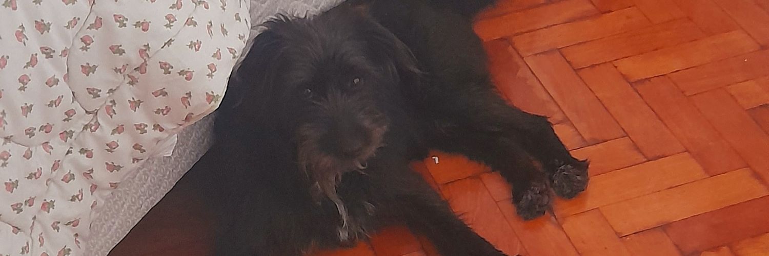 merferrero's profile banner image