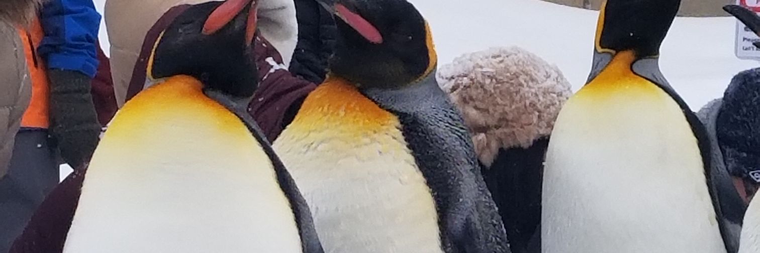 7_7o13's profile banner image