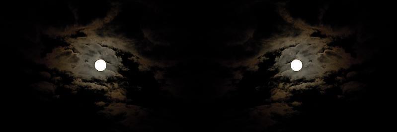 rodrigofltr's profile banner image