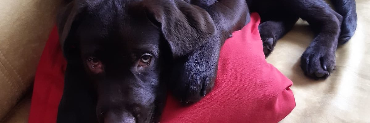 grinryt's profile banner image