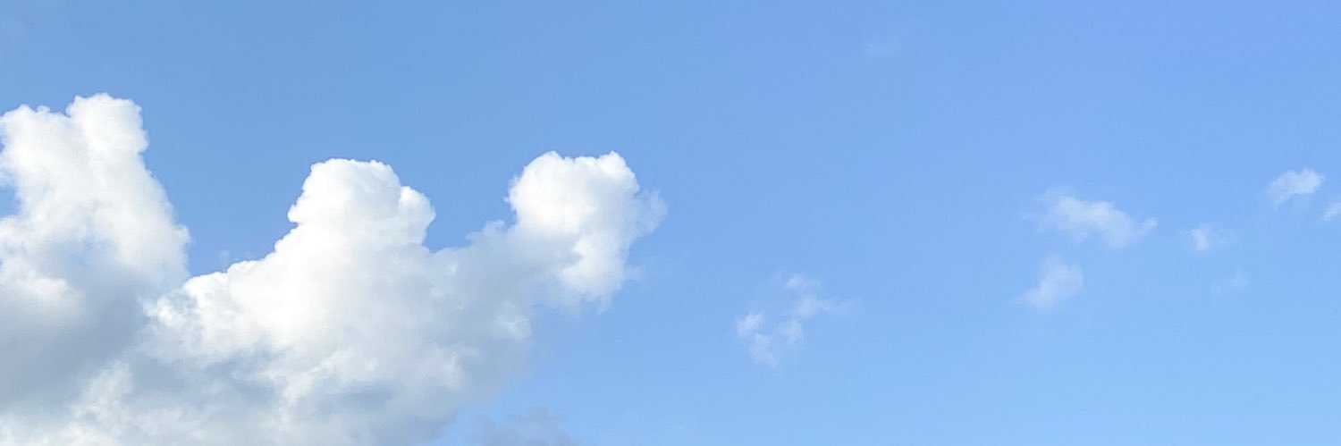 onopink's profile banner image
