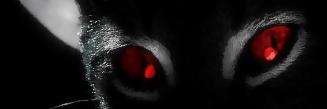 dietinaernst's profile banner image