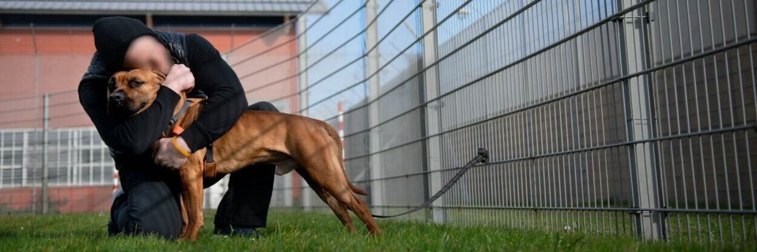 DutchCellDogs's profile banner image