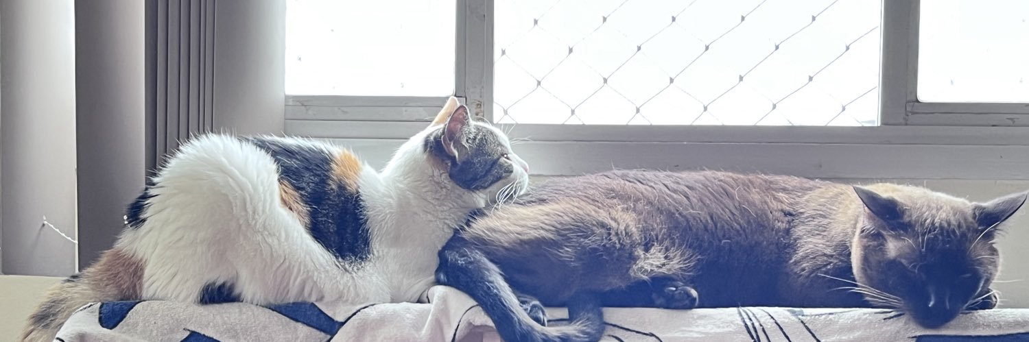 JackieB💫🏹🦑🚩 banner