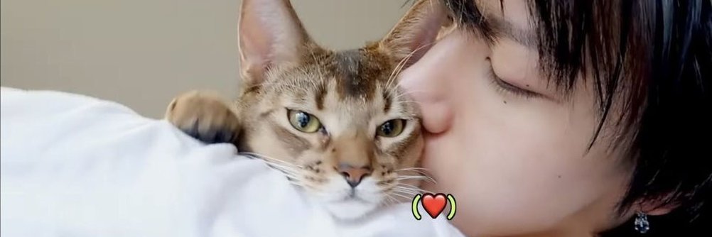 NK_kkkcc's profile banner image