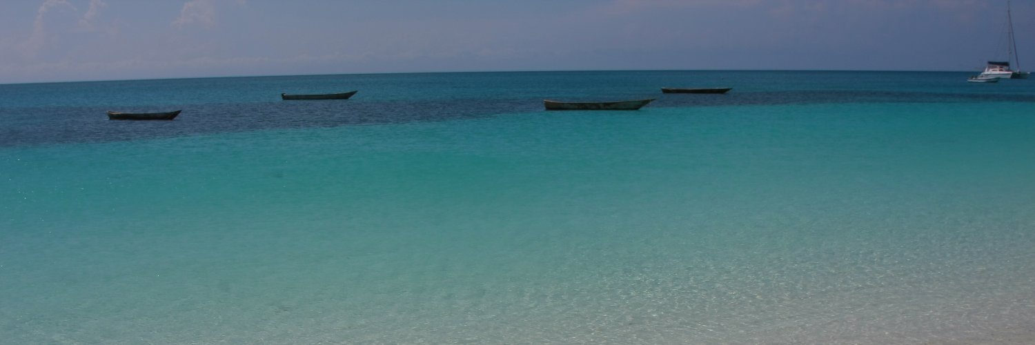 IrianoDinelli's profile banner image