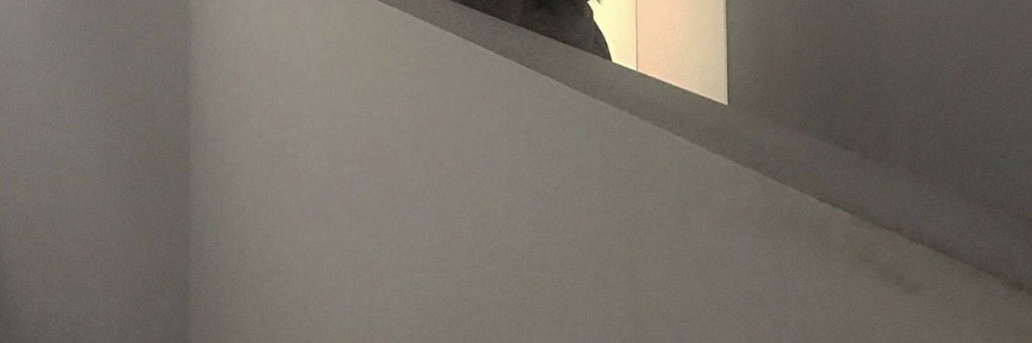 ash4i0's profile banner image