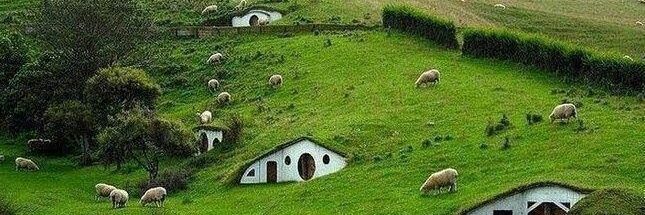 Tim Coene banner